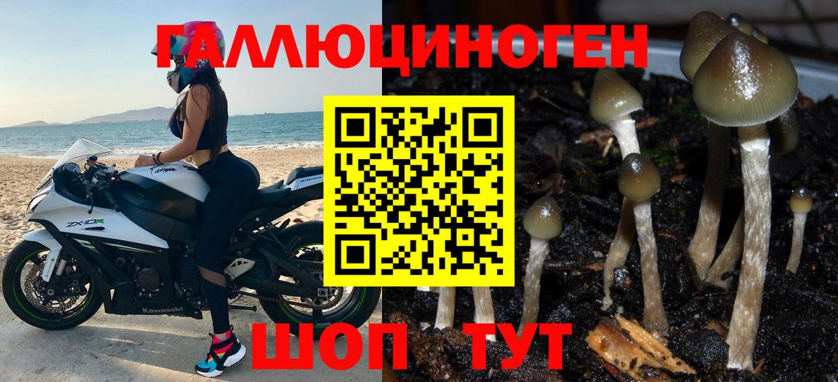 Галлюциногенные грибы Magic Shrooms Минусинск