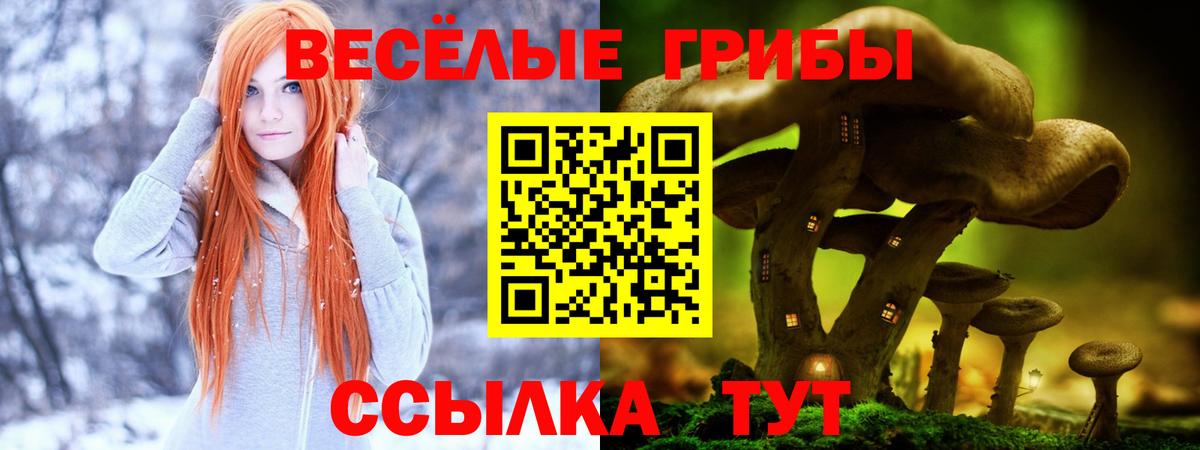 Минусинск  Псилоцибиновые грибы Cubensis  Вход с VPN  Псилоцибиновые грибы Cubensis 